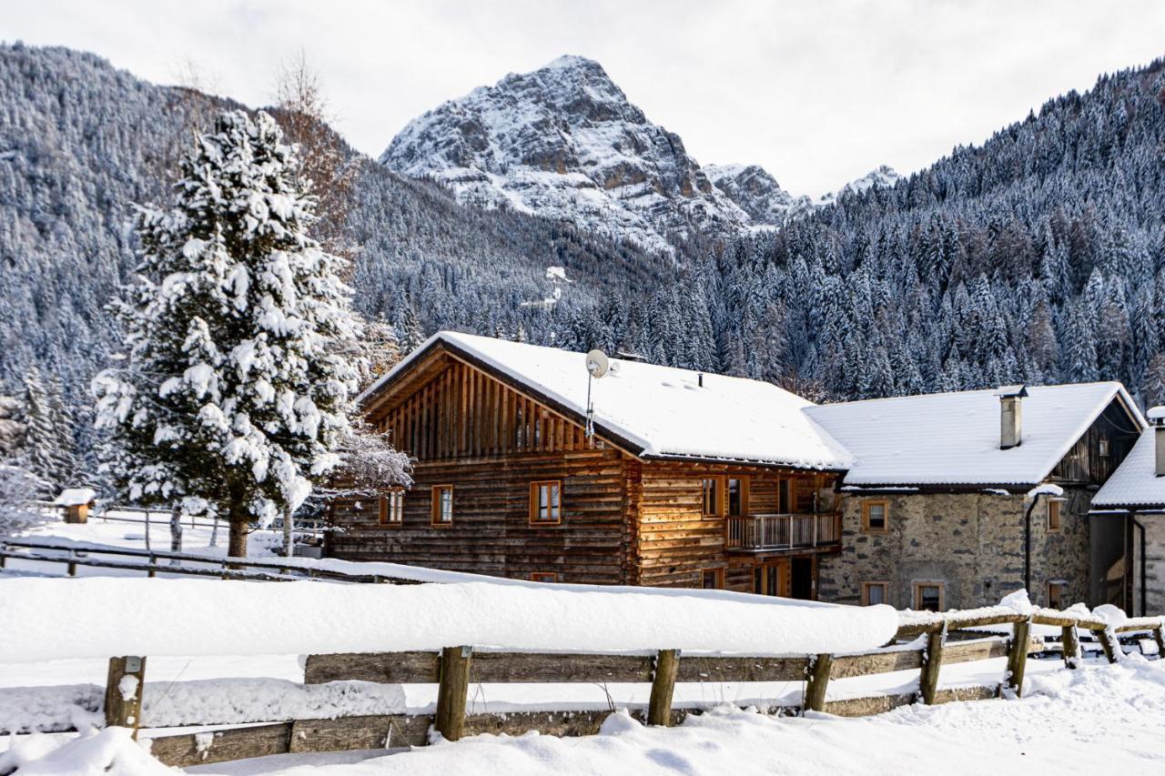 Apartamento Nido del Brenta Madonna Exterior foto