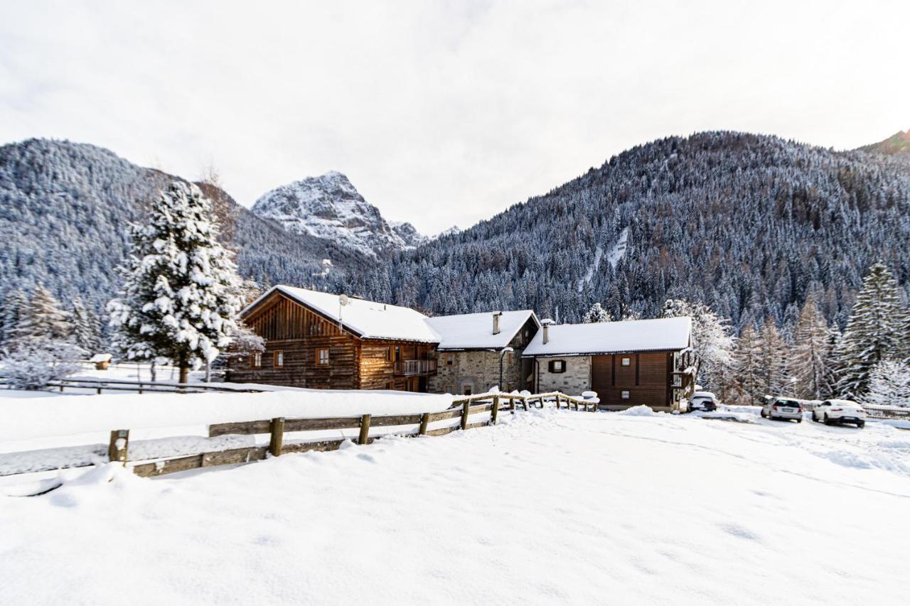 Apartamento Nido del Brenta Madonna Exterior foto